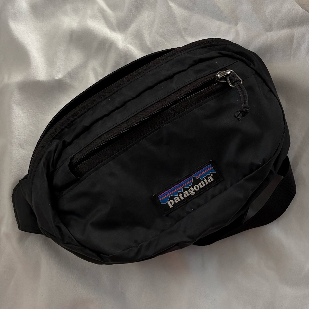 Patagonia Black Belt Bag